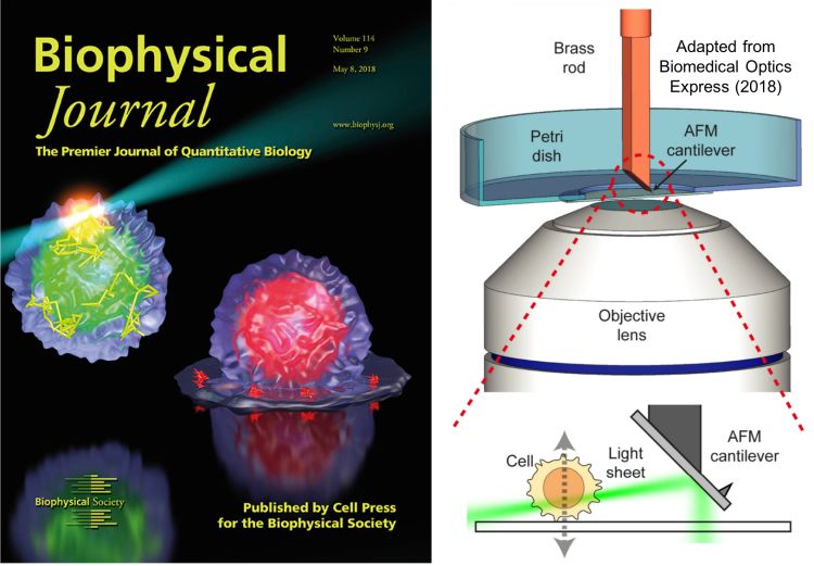 professor profile picture