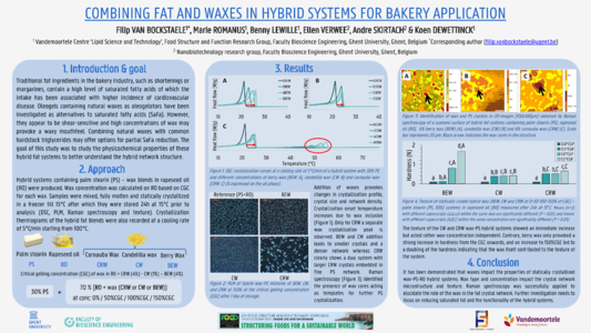 professor profile picture