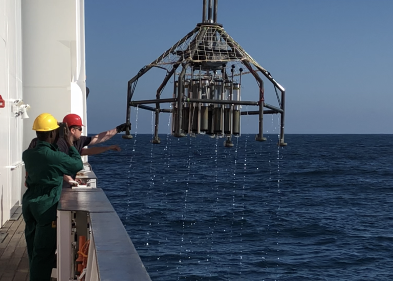 professor profile picture