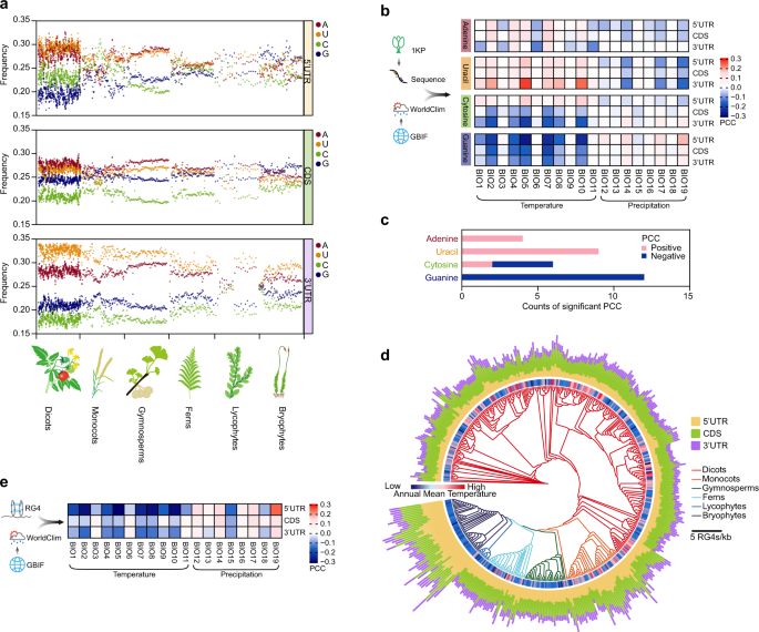 professor profile picture