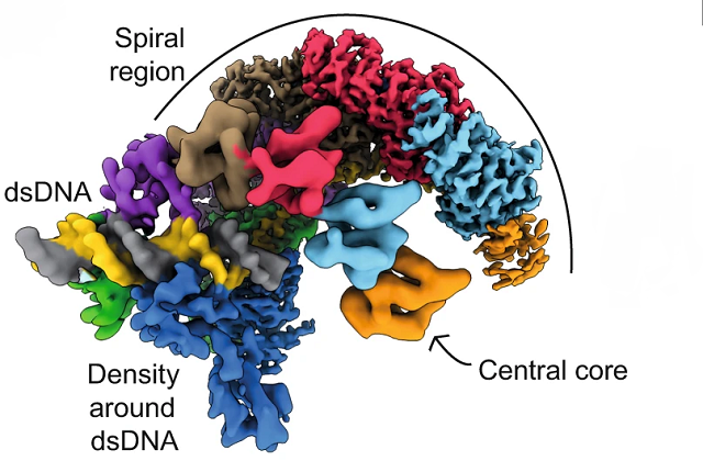 professor profile picture