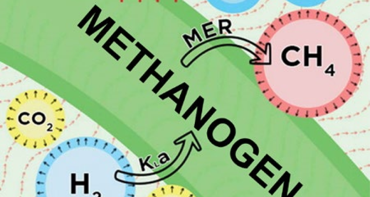 professor profile picture