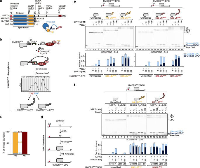 professor profile picture
