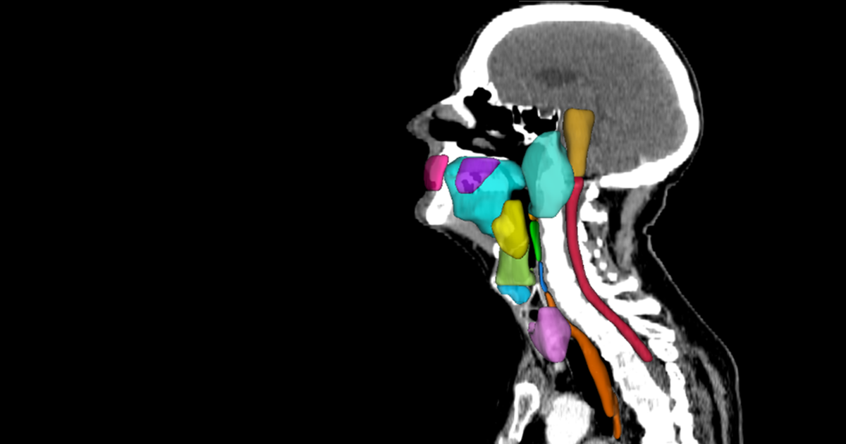 professor profile picture