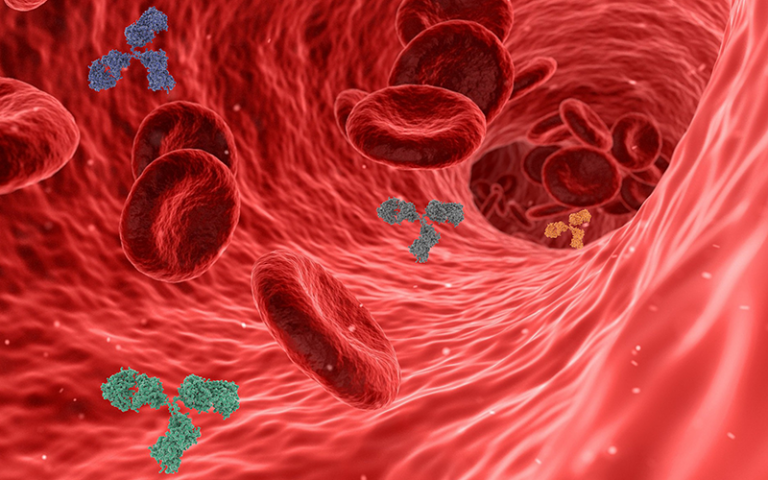 professor profile picture