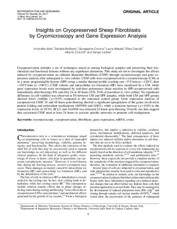 professor profile picture