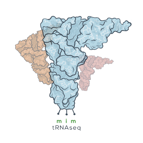 professor profile picture