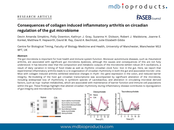 professor profile picture