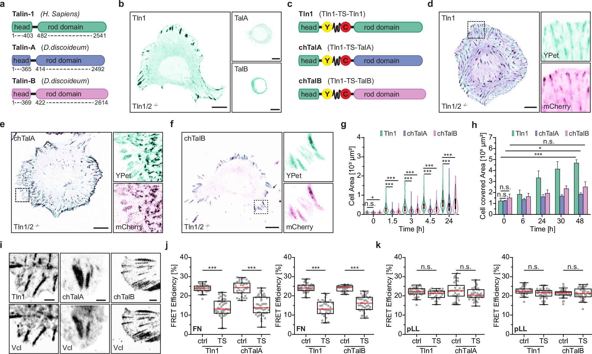 professor profile picture