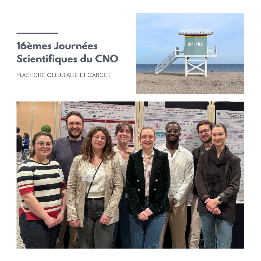 professor profile picture