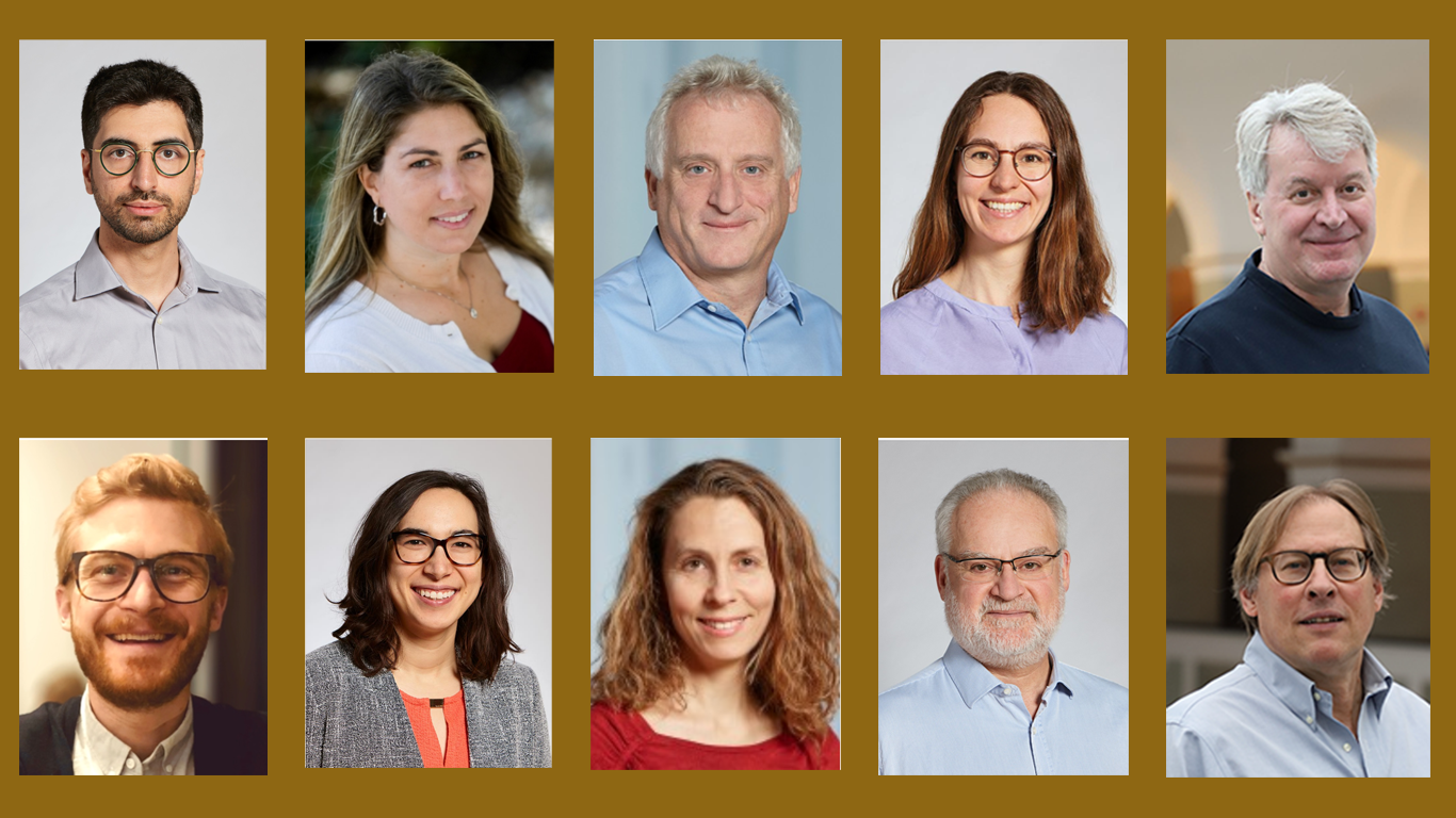 professor profile picture