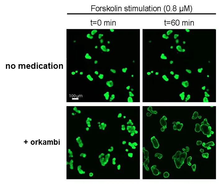 professor profile picture