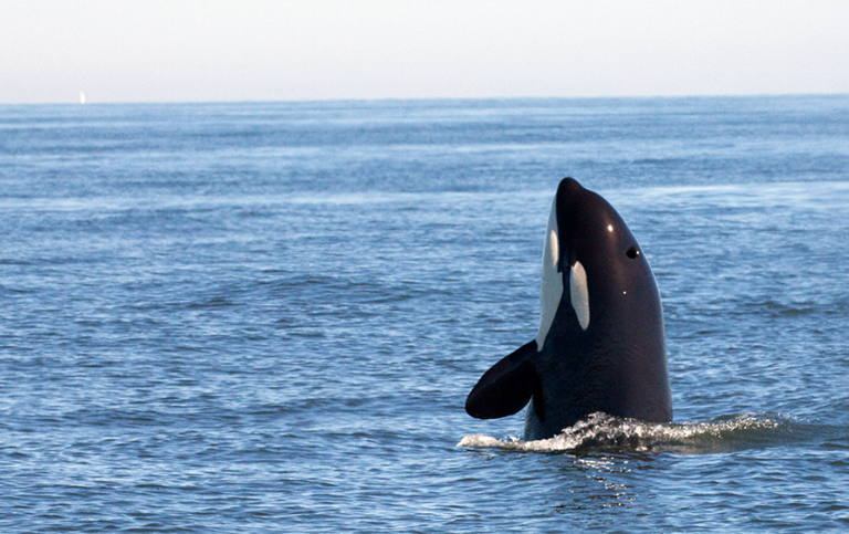 professor profile picture