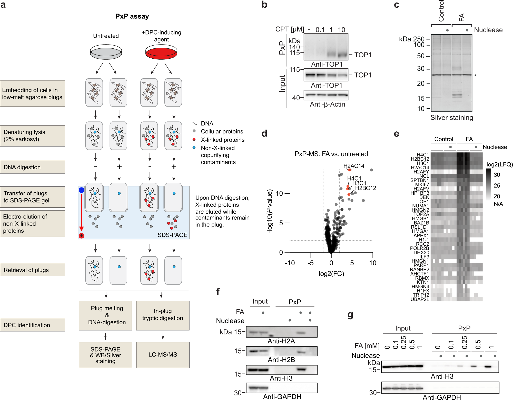 professor profile picture