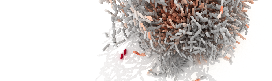 professor profile picture