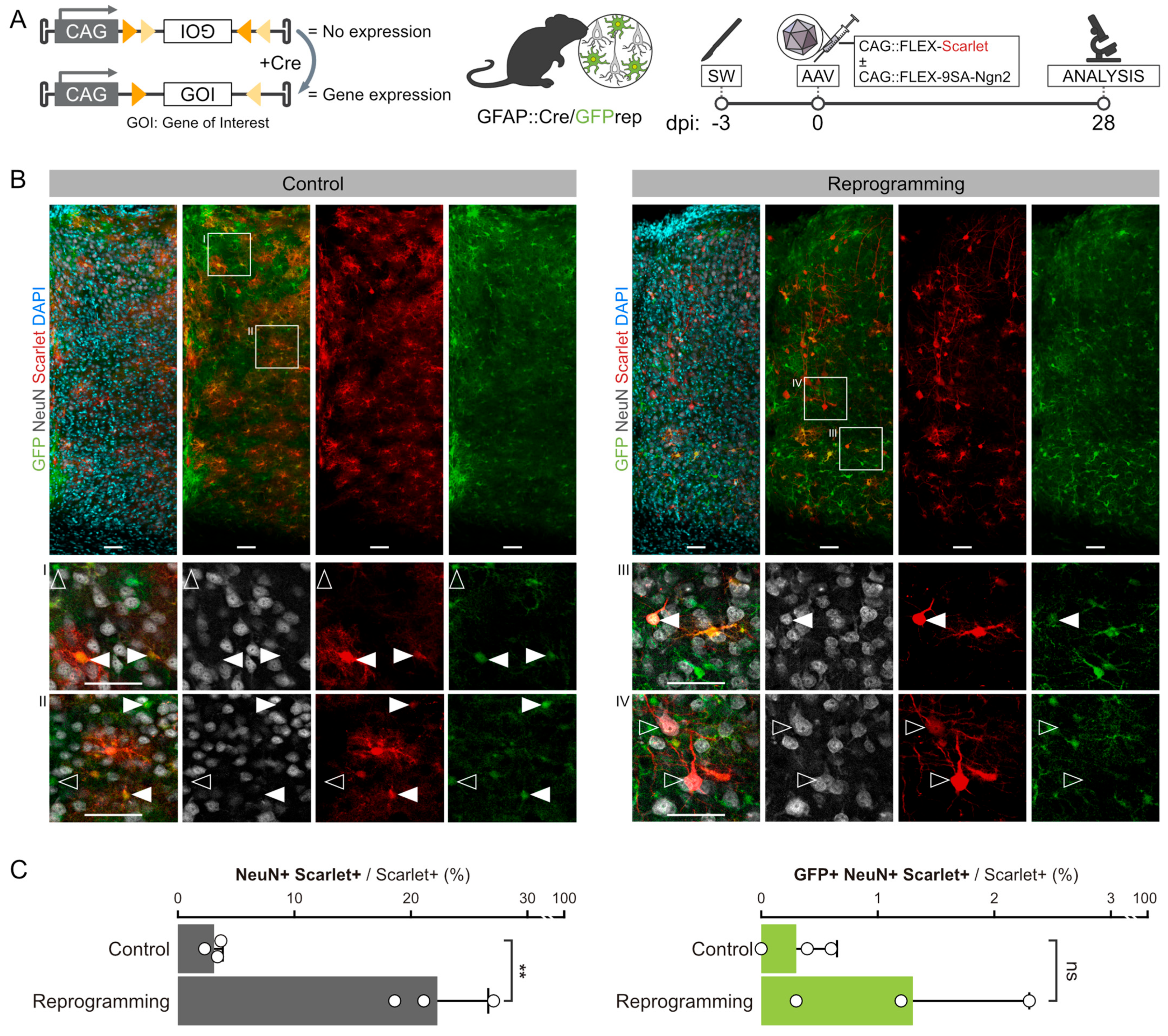 professor profile picture