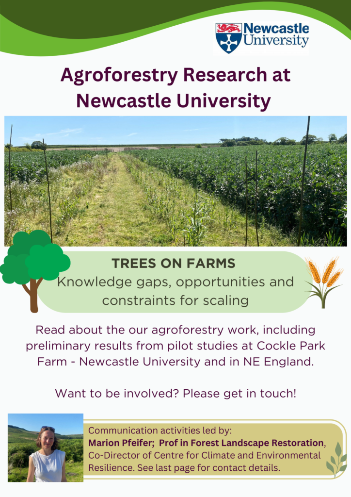 professor profile picture