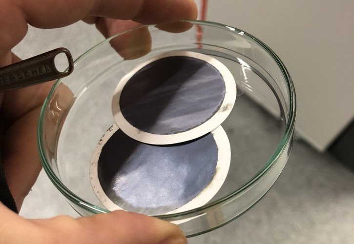 professor profile picture