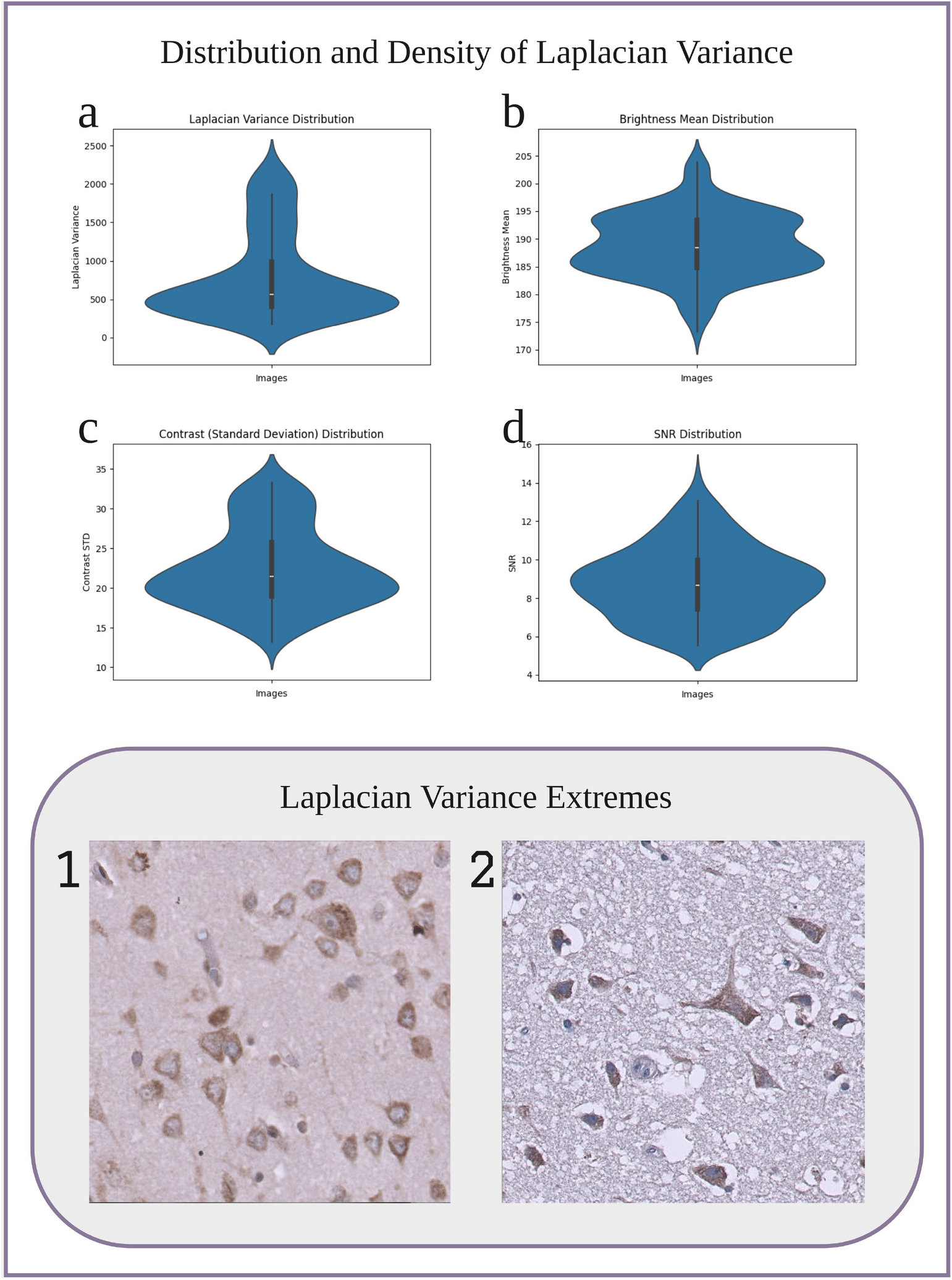professor profile picture