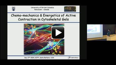 professor profile picture