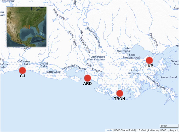 professor profile picture