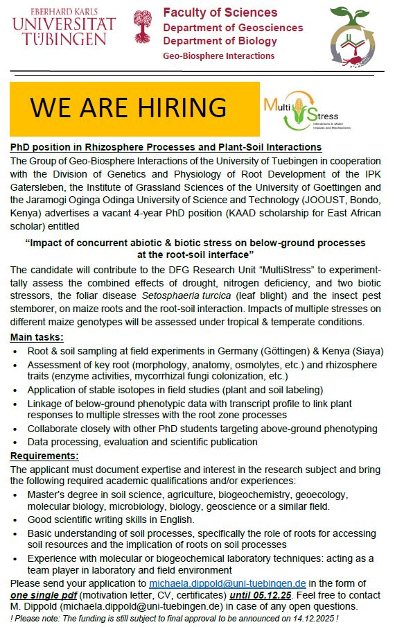 professor profile picture