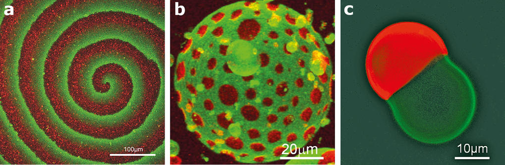 professor profile picture