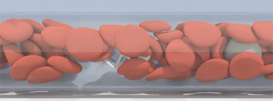 professor profile picture