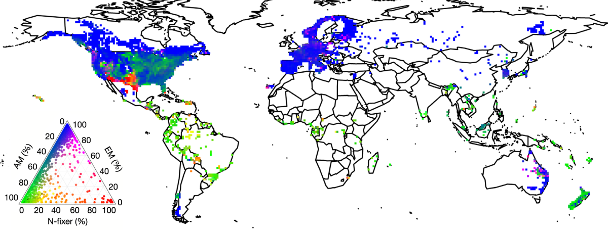 professor profile picture