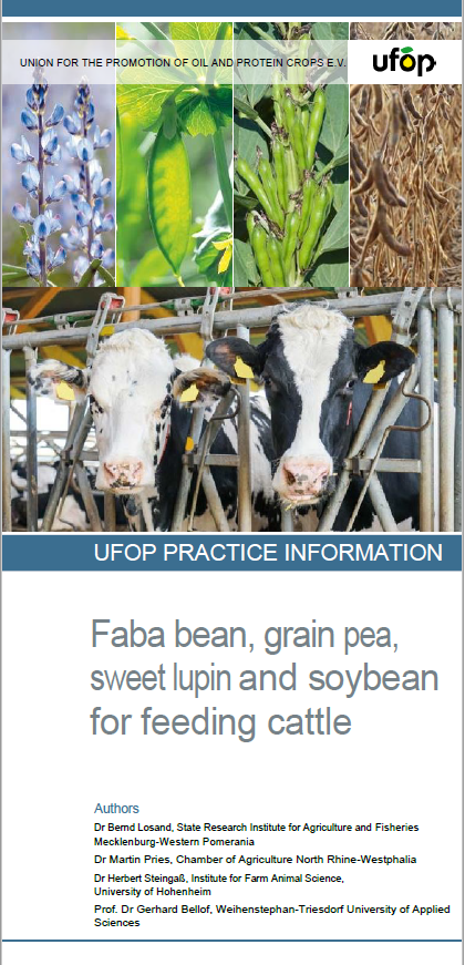 professor profile picture