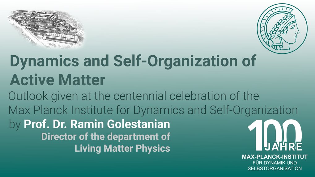 professor profile picture