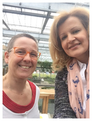 professor profile picture