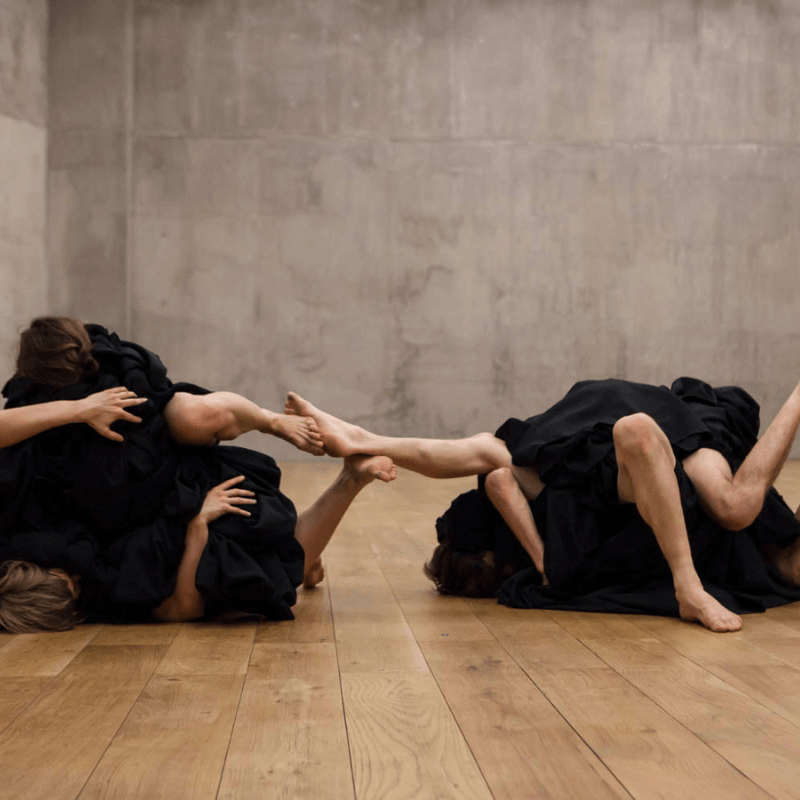 professor profile picture