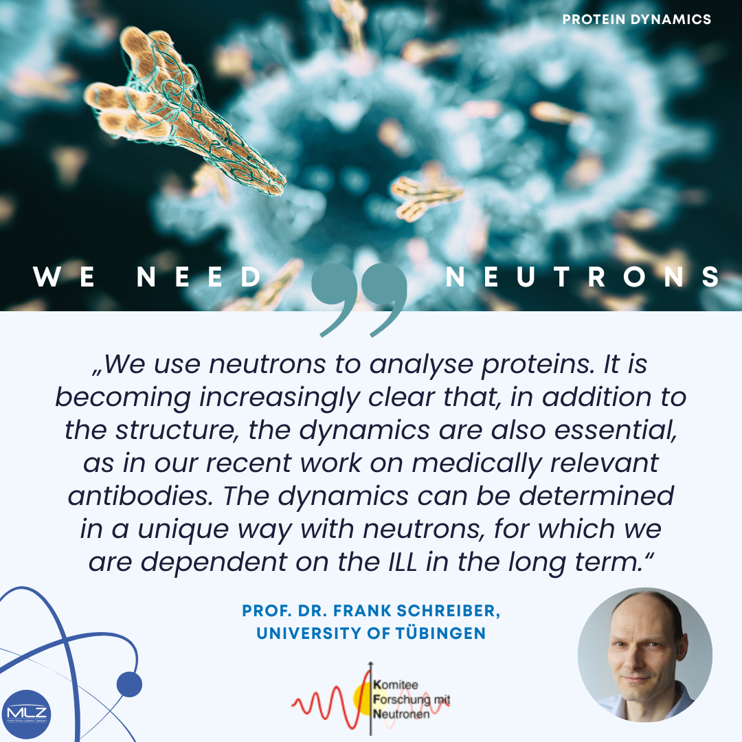 professor profile picture