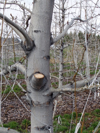 professor profile picture