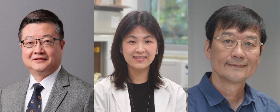 professor profile picture