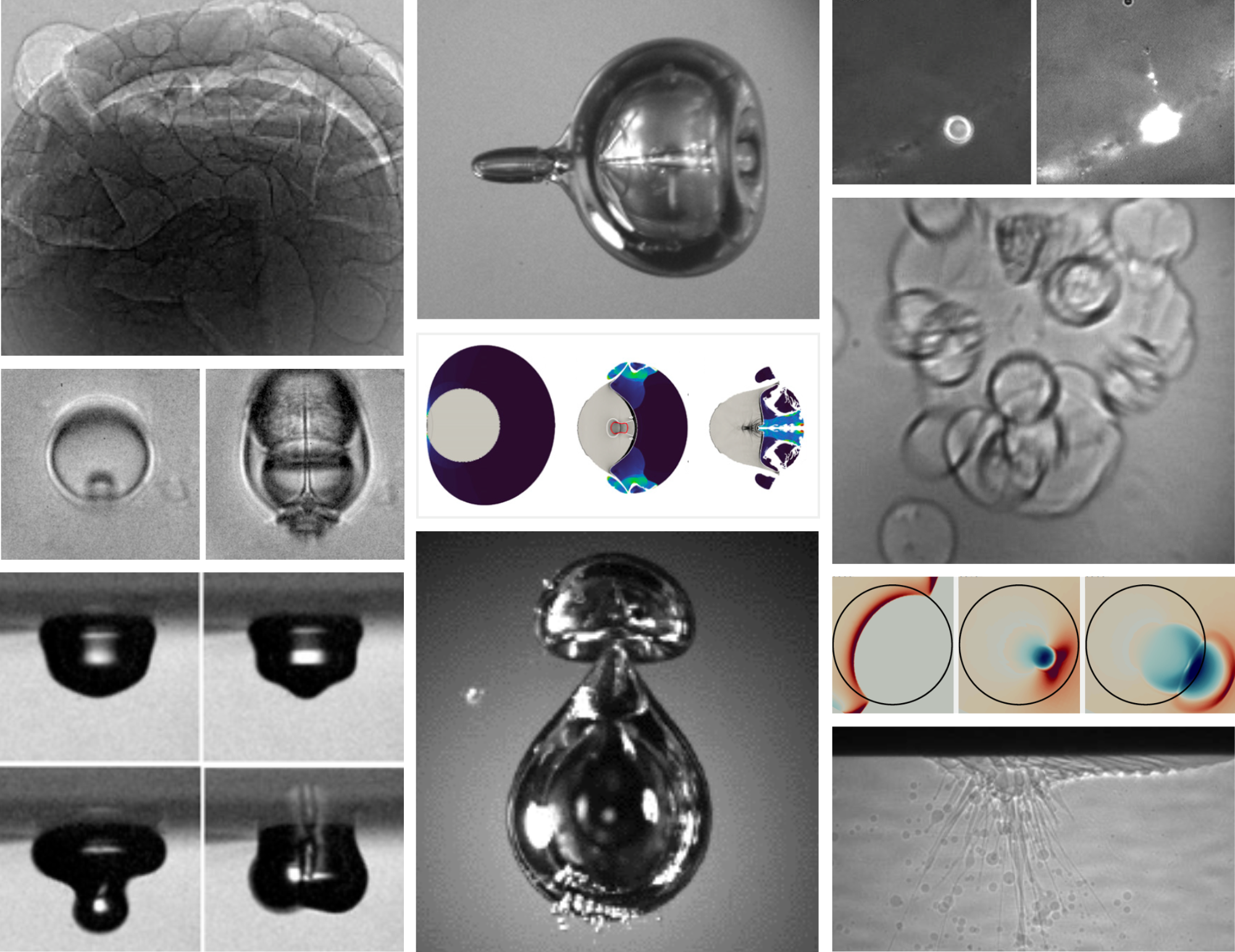 professor profile picture