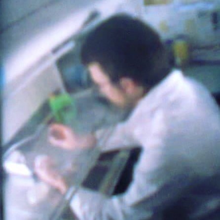 professor profile picture