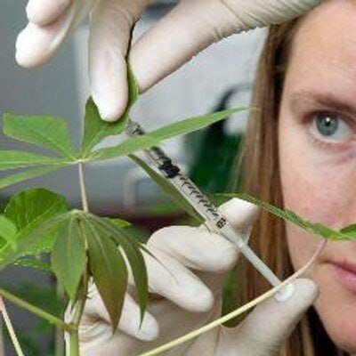 professor profile picture