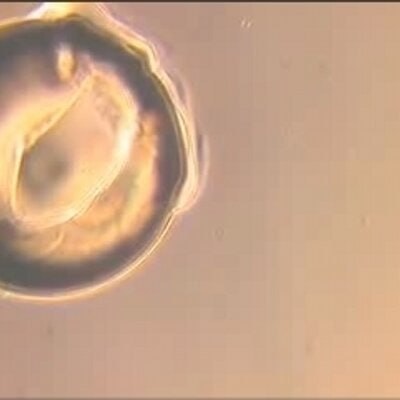 professor profile picture