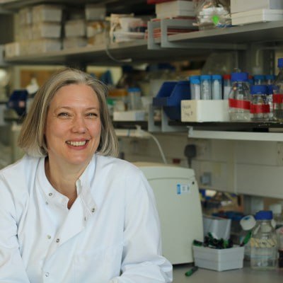 professor profile picture