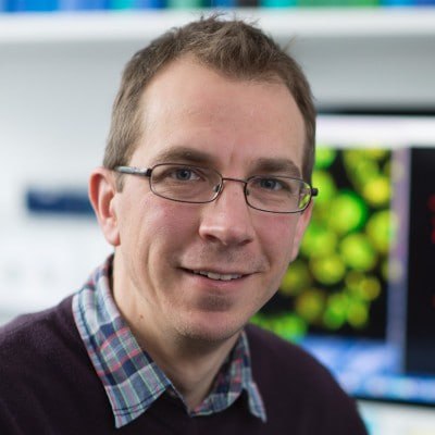 professor profile picture