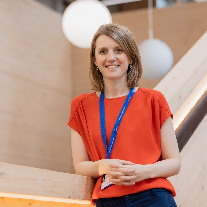 professor profile picture