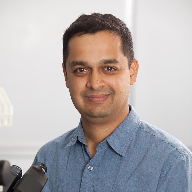 professor profile picture