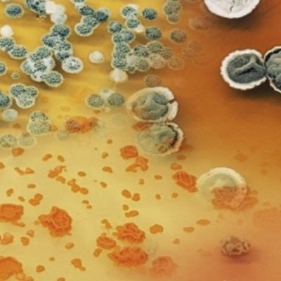 professor profile picture