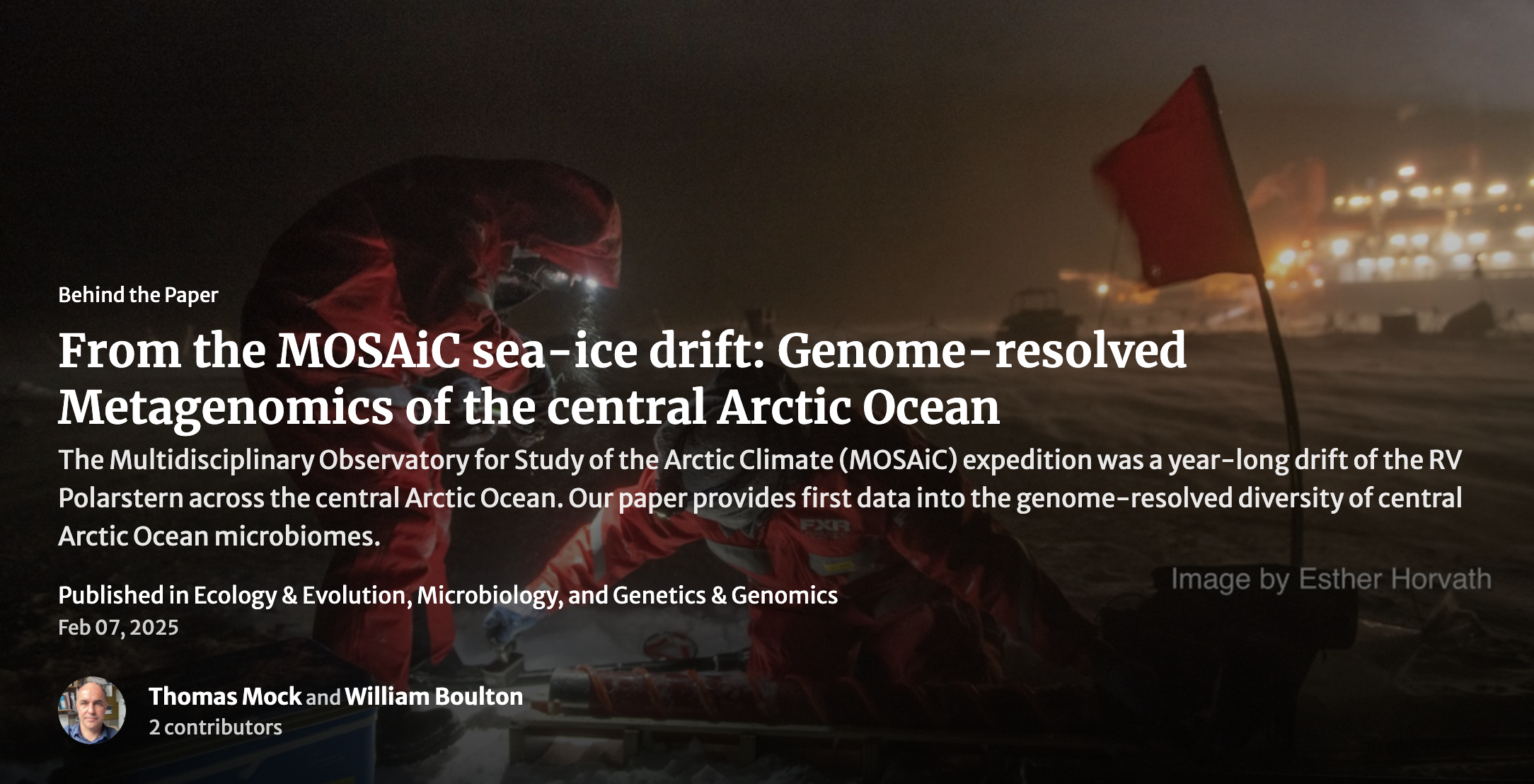 professor profile picture