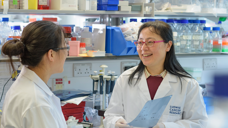 professor profile picture