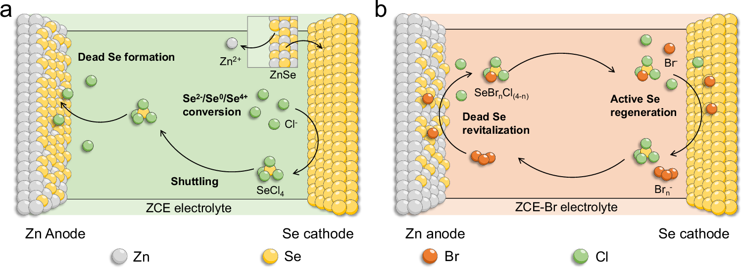 professor profile picture