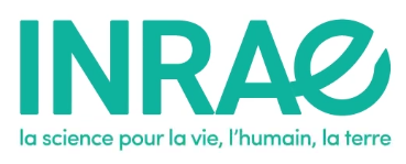 Publisher